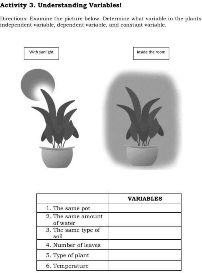 Activity 3. Understanding Variables!
Directions: Examine the picture below. Determine what variable in the plants independent variable, dependent variable, and constant variable.
With sunlight
Inside the room

VARIABLES
1. The same pot
2. The same amount of water
3. The same type of soil
4. Number of leaves
5. Type of plant
6. Temperature