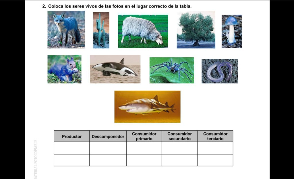 Solved: Por Favor Es Urgente!!!! Coloca Los Seres Vivos De Las Fotos En 