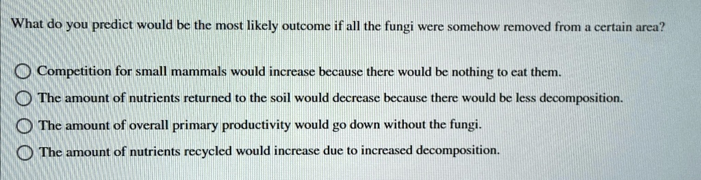 What do you predict would be the most likely outcome if all the fungi were somehow removed from a certain area?
Competition for small mammals would increase because there would be nothing to eat them.
The amount of nutrients returned to the soil would decrease because there would be less decomposition.
The amount of overall primary productivity would go down without the fungi.
The amount of nutrients recycled would increase due to increased decomposition.
