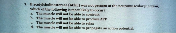 Video Solution: If Acetylcholinesterase (ache) Was Not Present At The 