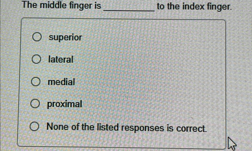 The middle finger is to the index finger. superior lateral medial ...