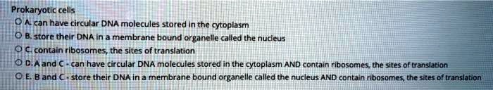 Prokaryotic cells
A. can have circular DNA molecules stored in the cytoplasm
B. store their DNA in a membrane bound organelle called the nucleus
C. contain ribosomes, the sites of translation
D. A and C - can have circular DNA molecules stored in the cytoplasm AND contain ribosomes, the sites of translation
E. B and C - store their DNA in a membrane bound organelle called the nucleus AND contain ribosomes, the sites of translation