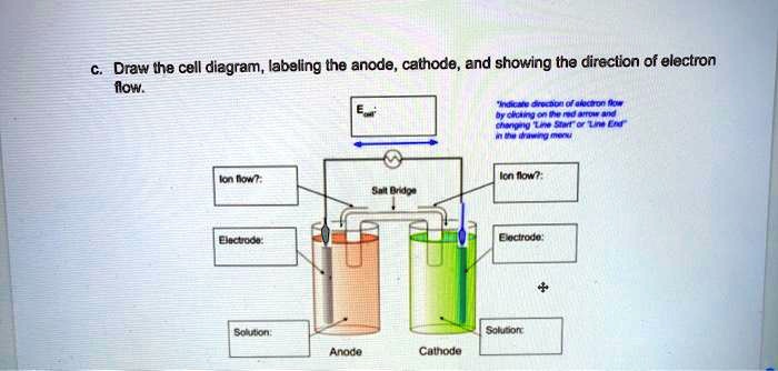 draw the cell diagram labeling the anode cathode and showing the ...