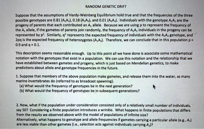 RANDOM GENETIC DRIFT
Suppose that the assumptions of Hardy-Weinberg Equilibrium hold true and that the frequencies of the three
possible genotypes are 0.81 (A1A1), 0.18 (A1A2), and 0.01 (A2A2). Individuals with the genotype A1A1 are the
progeny of parents that each contributed an A1 allele. Because we are using p to represent the frequency of
the A1 allele, if the gametes of parents join randomly, the frequency of A1A1 individuals in the progeny can be
represented by p^2. Similarly, q^2 represents the expected frequency of individuals with the A2A2 genotype, and
2pq is the expected frequency of heterozygotes (A1A2). Therefore, we can conclude that in this population p =
0.9 and q = 0.1.
This description seems reasonable enough. Up to this point all we have done is associate some mathematical
notation with the genotypes that exist in a population. We can use this notation and the relationship that we
have established between gametes and progeny, which is just based on Mendelian genetics, to make
predictions about allele and genotype frequencies in the future.
1. Suppose that members of the above population make gametes, and release them into the water, as many
marine invertebrates do (referred to as broadcast spawning).
(a) What would the frequency of genotypes be in the next generation?
(b) What would the frequency of genotypes be in subsequent generations?
2. Now, what if the population under consideration consisted only of a relatively small number of individuals,
say 50? Considering a finite population introduces a wrinkle. What happens in finite populations that differs
from the results we observed above with the model of populations of infinite size?
Alternatively, what happens to genotype and allele frequencies if gametes carrying a particular allele (e.g., A1)
are less viable than other gametes (i.e., selection acts against individuals carrying A1)?