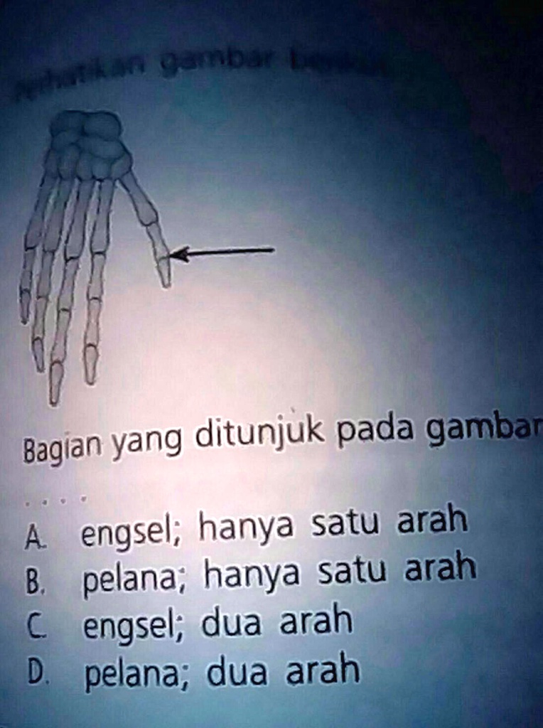 SOLVED: Perhatikan Gambar Berikut Bagian Yang Ditunjukkan Pada Gambar ...