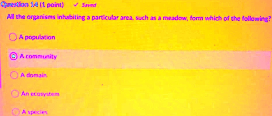 All the organisms inhabiting a particular area, such as a meadow, form which of the following?
A population
A community
A domain
An ecosystem
A species