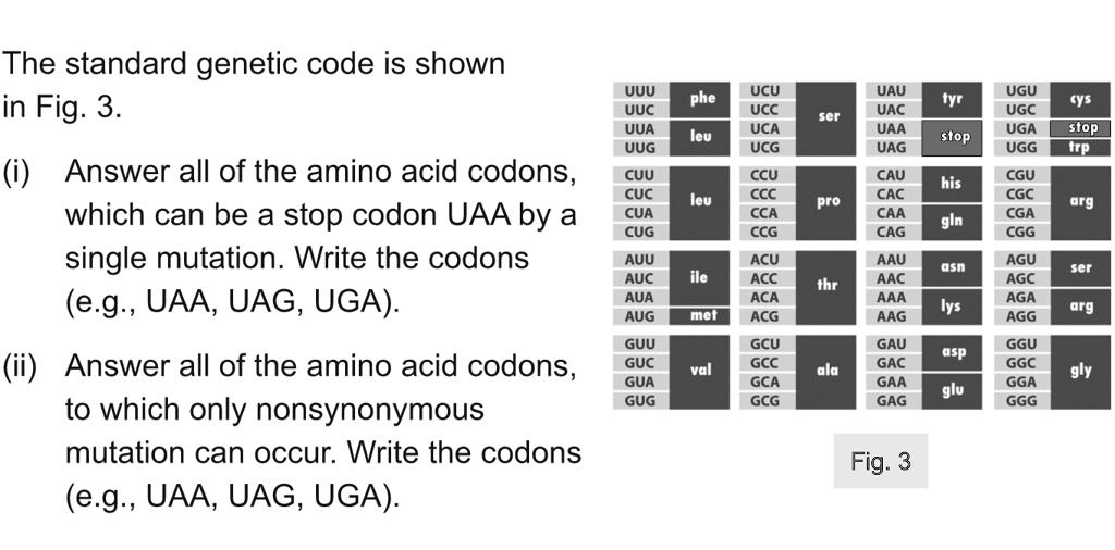 SOLVEDThe standard code is shown in Fig. 3. (i) Answer all of