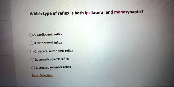 Which type of reflex is both ipsilateral and monosynaptic?
A. cardiogenic reflex
B. withdrawal reflex
C. visceral autonomic reflex
D. somatic stretch reflex
E. crossed extensor reflex
Reset Selection