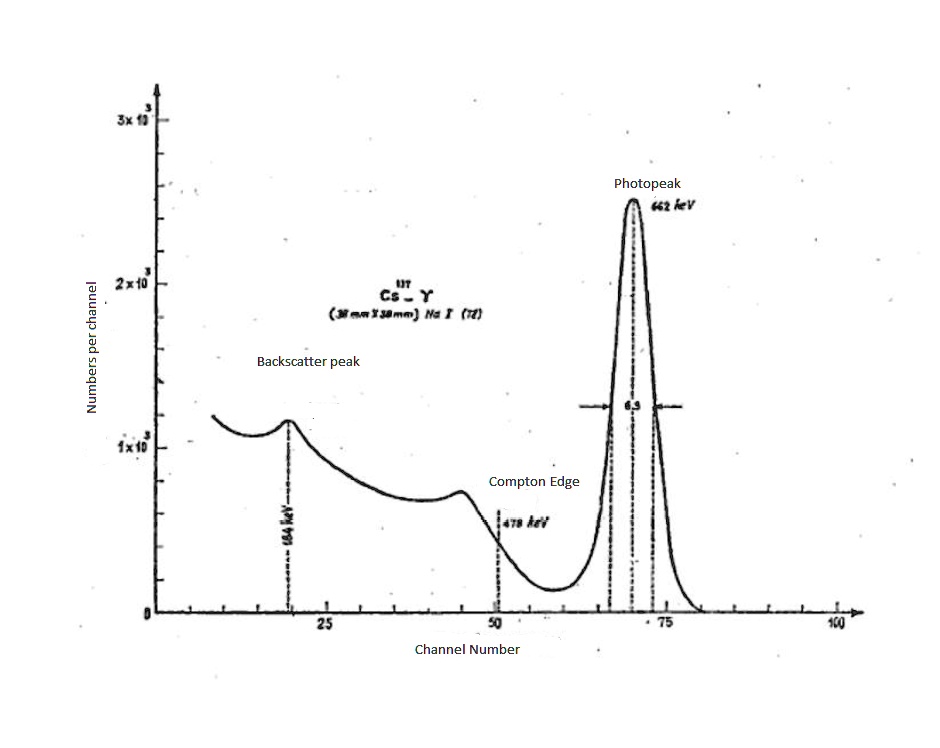 Numbers per channel
3x 10<sup>3</sup>
2x10<sup>3</sup>
1x10<sup>3</sup>
<sup>137</sup>Cs - Y
(35mm x 30mm) Na I (Tl)
Backscatter peak
184 keV
Compton Edge
478 keV
0
25
50
Channel Number
Photopeak
662 keV
75
100