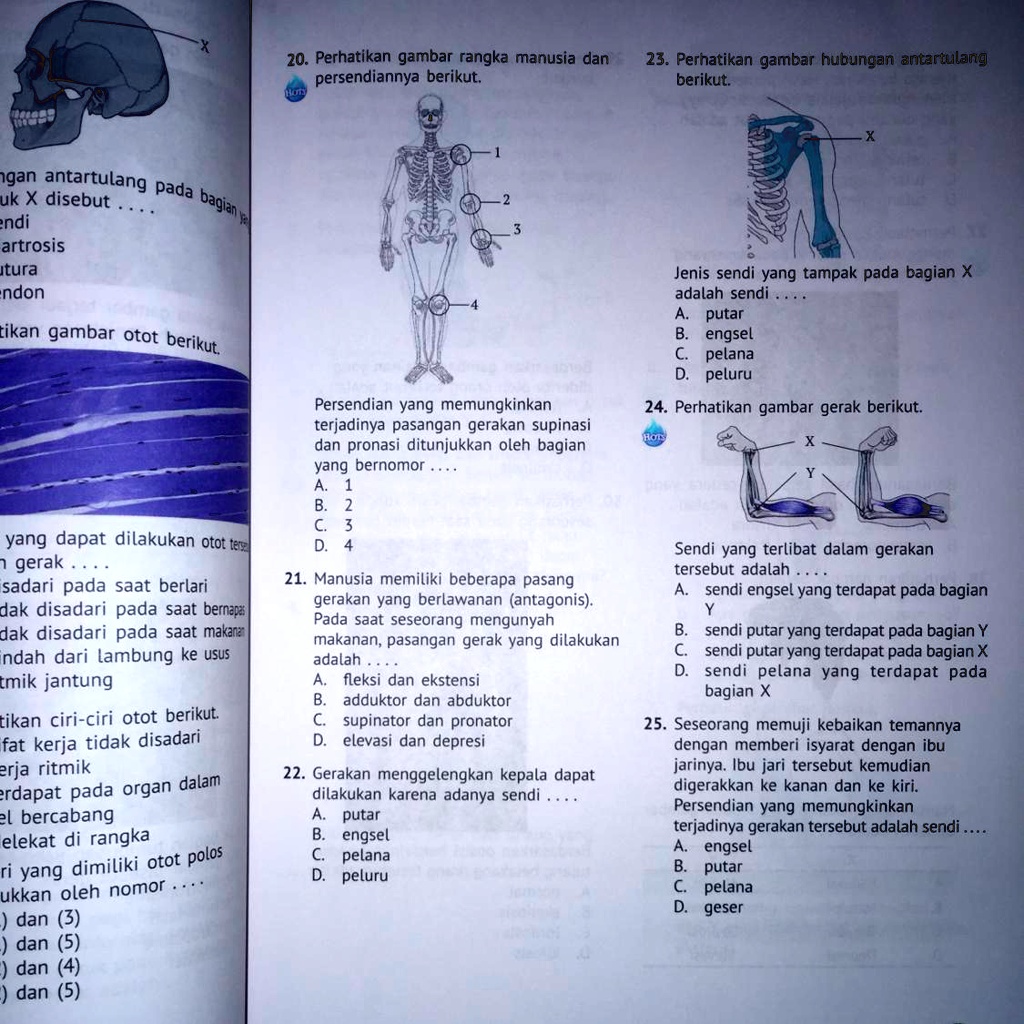 SOLVED: tolong dijawab nomor 20-25, terima kasih 20. Perhatikan gambar