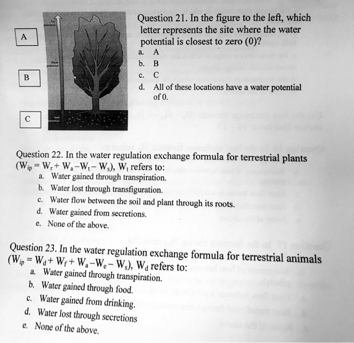 SOLVED Question 21. In the figure to the left; which letter represents