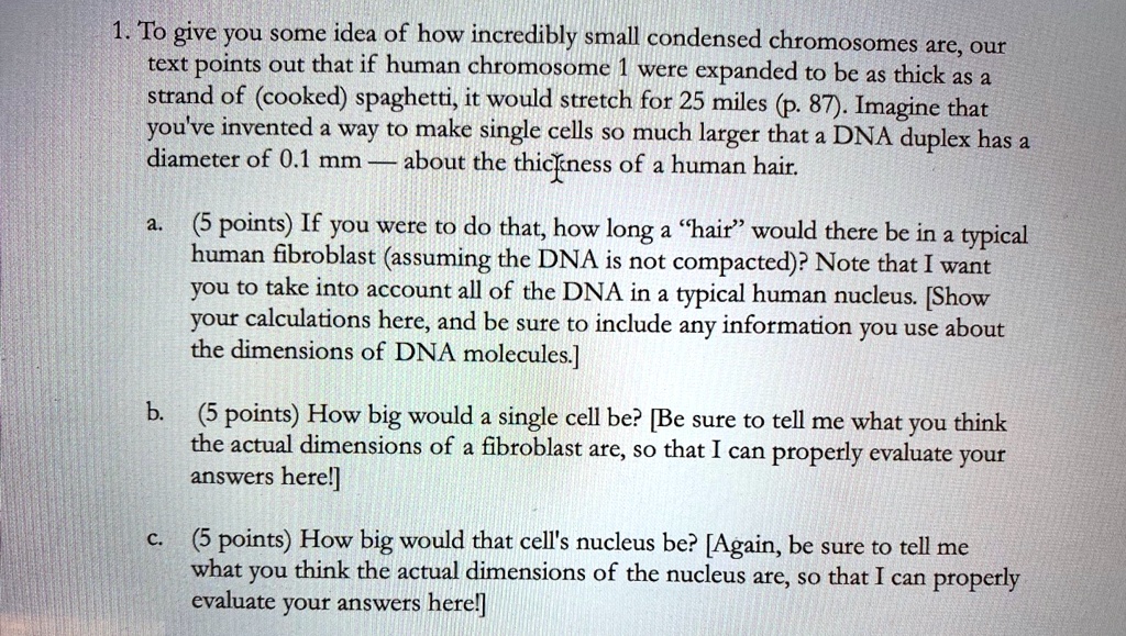 1. To give you some idea of how incredibly small condensed chromosomes are, our text points out that if human chromosome 1 were expanded to be as thick as a strand of (cooked) spaghetti, it would stretch for 25 miles (p. 87). Imagine that you've invented a way to make single cells so much larger that a DNA duplex has a diameter of 0.1 mm — about the thickness of a human hair.

a. (5 points) If you were to do that, how long a ‘hair’ would there be in a typical human fibroblast (assuming the DNA is not compacted)? Note that I want you to take into account all of the DNA in a typical human nucleus. [Show your calculations here, and be sure to include any information you use about the dimensions of DNA molecules.]

b. (5 points) How big would a single cell be? [Be sure to tell me what you think the actual dimensions of a fibroblast are, so that I can properly evaluate your answers here!]

c. (5 points) How big would that cell's nucleus be? [Again, be sure to tell me what you think the actual dimensions of the nucleus are, so that I can properly evaluate your answers here!]
