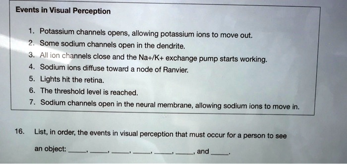 Events in Visual Perception

1. Potassium channels opens, allowing potassium ions to move out.
2. Some sodium channels open in the dendrite.
3. All ion channels close and the Na+/K+ exchange pump starts working.
4. Sodium ions diffuse toward a node of Ranvier.
5. Lights hit the retina.
6. The threshold level is reached.
7. Sodium channels open in the neural membrane, allowing sodium ions to move in.

16. List, in order, the events in visual perception that must occur for a person to see an object: , , , , , , and .