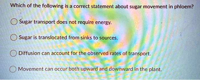 Which of the following is a correct statement about sugar movement in phloem?

Sugar transport does not require energy.

Sugar is translocated from sinks to sources.

Diffusion can account for the observed rates of transport.

Movement can occur both upward and downward in the plant.