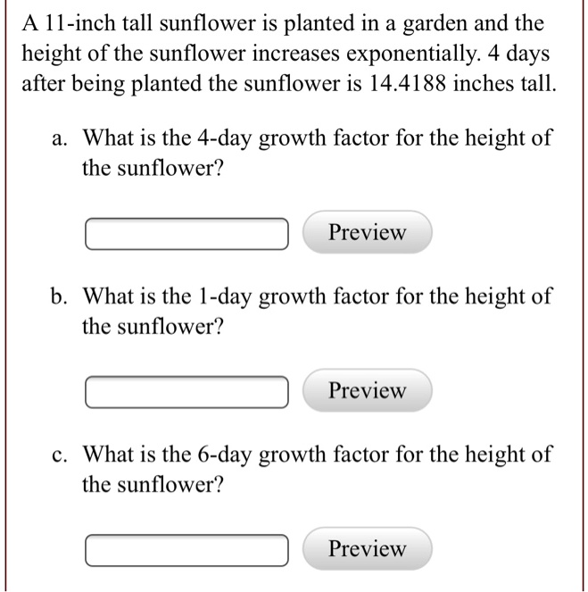SOLVED A 11inch tall sunflower is planted in a garden and the height