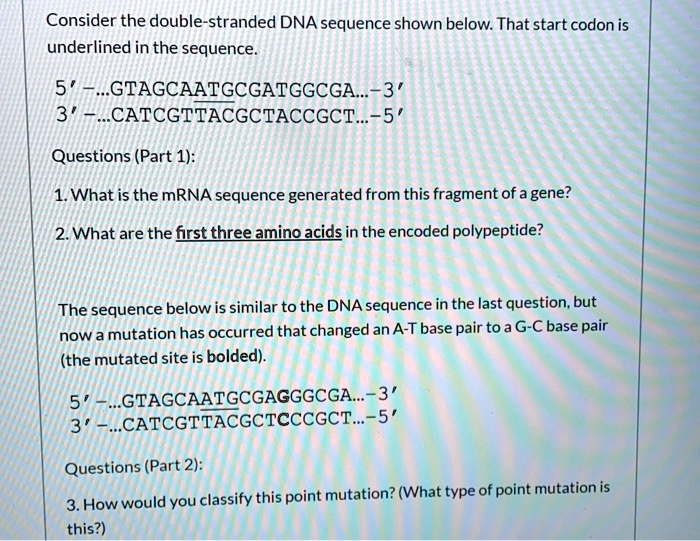 SOLVED: Consider The Double-stranded DNA Sequence Shown Below. The ...