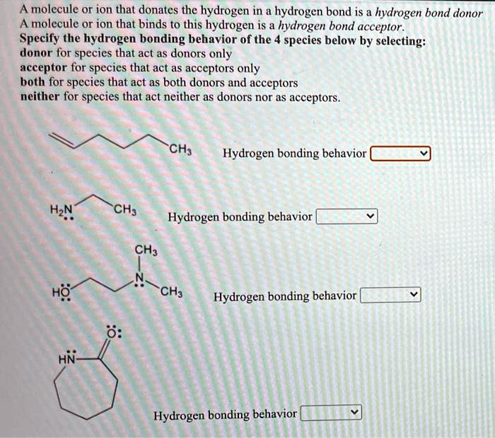 SOLVED: A Molecule Or Ion That Donates The Hydrogen In A Hydrogen Bond ...