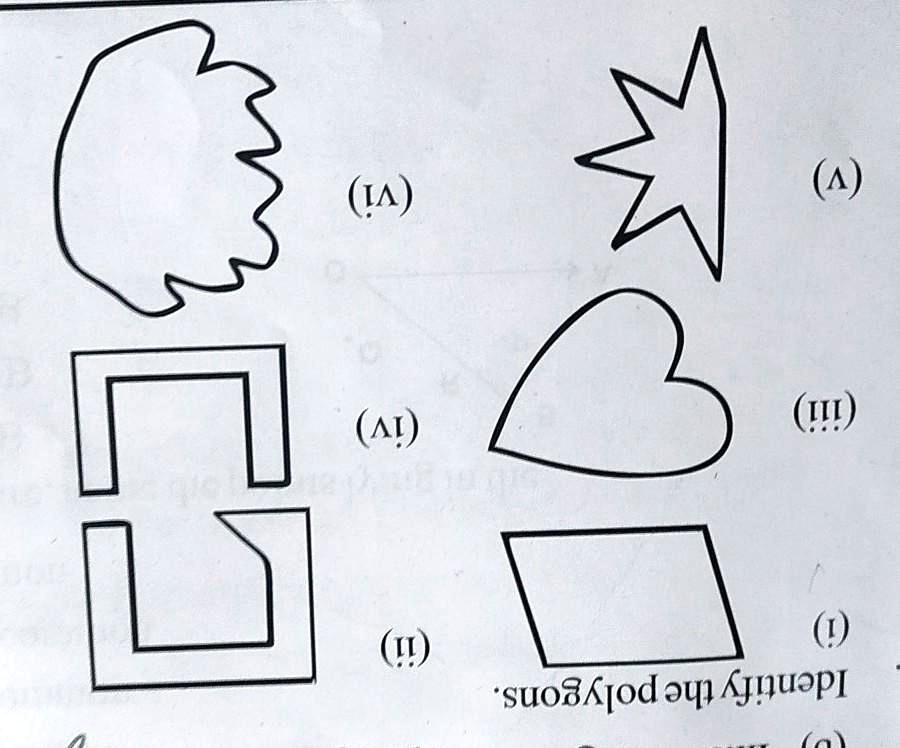 Identify the polygons.