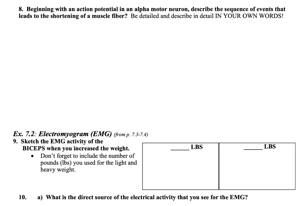 8. Beginning with an action potential in an alpha motor neuron, describe the sequence of events that
leads to the shortening of a muscle fiber? Be detailed and describe in detail IN YOUR OWN WORDS!

Ex. 7.2: Electromyogram (EMG) (from p. 7.3-7.4)
9. Sketch the EMG activity of the
BICEPS when you increased the weight.
• Don't forget to include the number of
pounds (lbs) you used for the light and
heavy weight.

10. a) What is the direct source of the electrical activity that you see for the EMG?
