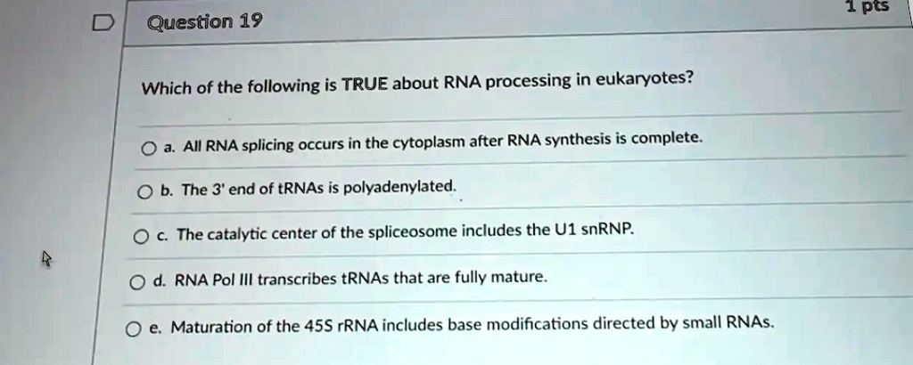Question 19
Which of the following is TRUE about RNA processing in eukaryotes?
a. All RNA splicing occurs in the cytoplasm after RNA synthesis is complete.
b. The 3' end of tRNAs is polyadenylated.
c. The catalytic center of the spliceosome includes the U1 snRNP.
d. RNA Pol III transcribes tRNAs that are fully mature.
e. Maturation of the 45S rRNA includes base modifications directed by small RNAs.