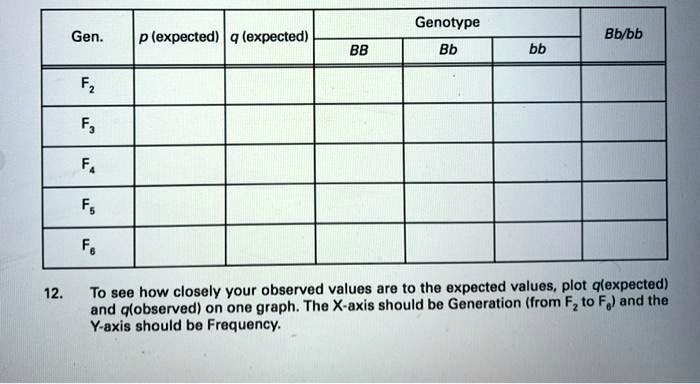 Q148 Genotype Example SOLVED: Genotype Gen: (expected) q (expected) Bbybb BB Bb F5 To see how ...