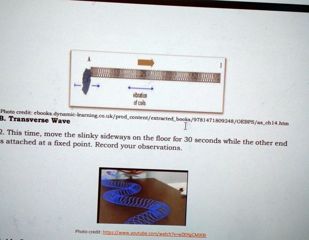 Guide Questions 1. What does the slinky or spring represent? 2. How do