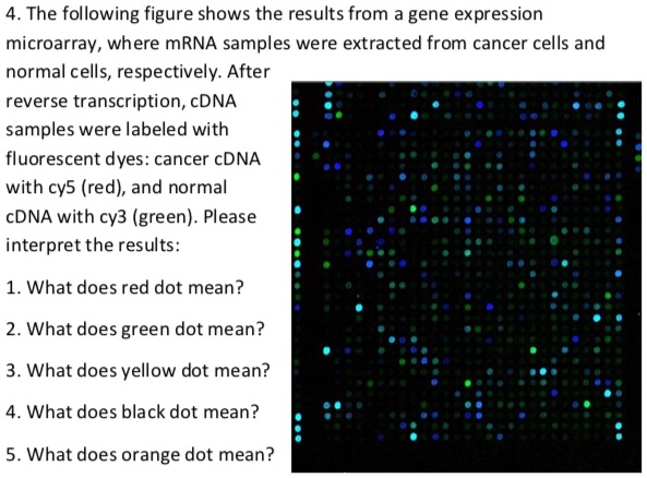 SOLVED: The following figure shows the results from a gene expression ...