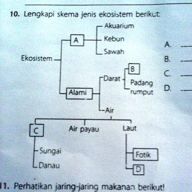 SOLVED: 1.ekosistem Tersusun Atas Komponen Biotik Dan Komponen Abiotik ...