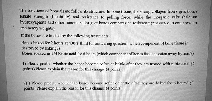 The functions of bone tissue follow its structure. In bone tissue, the strong collagen fibers give bones tensile strength (flexibility) and resistance to pulling force; while the inorganic salts (calcium hydroxyapatite and other mineral salts) give bones compression resistance (resistance to compression and heavy weights).

If the bones are treated by the following treatments:

Bones baked for 2 hours at 400°F (hint for answering question: which component of bone tissue is destroyed by baking?)
Bones soaked in 1M Nitric acid for 6 hours (which component of bones tissue is eaten away by acid?)

1) Please predict whether the bones become softer or brittle after they are treated with nitric acid. (2 points) Please explain the reason for this change. (4 points)

2) ) Please predict whether the bones become softer or brittle after they are baked for 6 hours? (2 points) Please explain the reason for this change. (4 points)