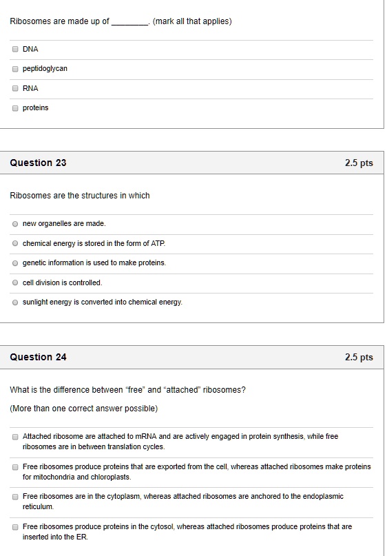 Ribosomes are made up of . (mark all that applies)

DNA
peptidoglycan
RNA
proteins

Question 23
Ribosomes are the structures in which

new organelles are made.
chemical energy is stored in the form of ATP.
genetic information is used to make proteins.
cell division is controlled.
sunlight energy is converted into chemical energy.

Question 24
What is the difference between "free" and "attached" ribosomes?
(More than one correct answer possible)

Attached ribosome are attached to mRNA and are actively engaged in protein synthesis, while free ribosomes are in between translation cycles.
Free ribosomes produce proteins that are exported from the cell, whereas attached ribosomes make proteins for mitochondria and chloroplasts.
Free ribosomes are in the cytoplasm, whereas attached ribosomes are anchored to the endoplasmic reticulum.
Free ribosomes produce proteins in the cytosol, whereas attached ribosomes produce proteins that are inserted into the ER.