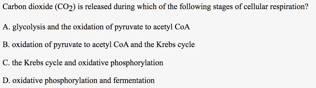 Carbon dioxide (CO2) is released during which of the following stages of cellular respiration?

A. glycolysis and the oxidation of pyruvate to acetyl CoA

B. oxidation of pyruvate to acetyl CoA and the Krebs cycle

C. the Krebs cycle and oxidative phosphorylation

D. oxidative phosphorylation and fermentation