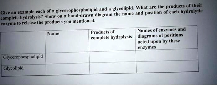 and glycolipid what are the products oroheic give an example each of glycerophospholipid the name and position of each hydrolytic complete hydrolysis show on hand drawn diagram enzyme t0 rel 00203