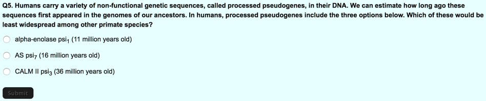 Q5. Humans carry a variety of non-functional genetic sequences, called processed pseudogenes, in their DNA. We can estimate how long ago these sequences first appeared in the genomes of our ancestors. In humans, processed pseudogenes include the three options below. Which of these would be least widespread among other primate species?

alpha-enolase psi1 (11 million years old)
AS psi7 (16 million years old)
CALM II psi3 (36 million years old)