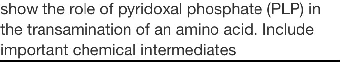 show the role of pyridoxal phosphate (PLP) in the transamination of an amino acid. Include important chemical intermediates