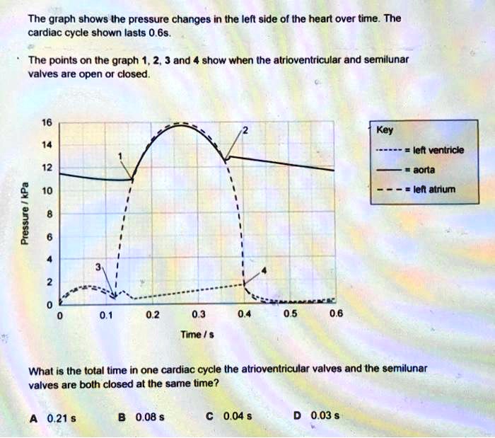 The graph shows the pressure changes in the left side of the heart over