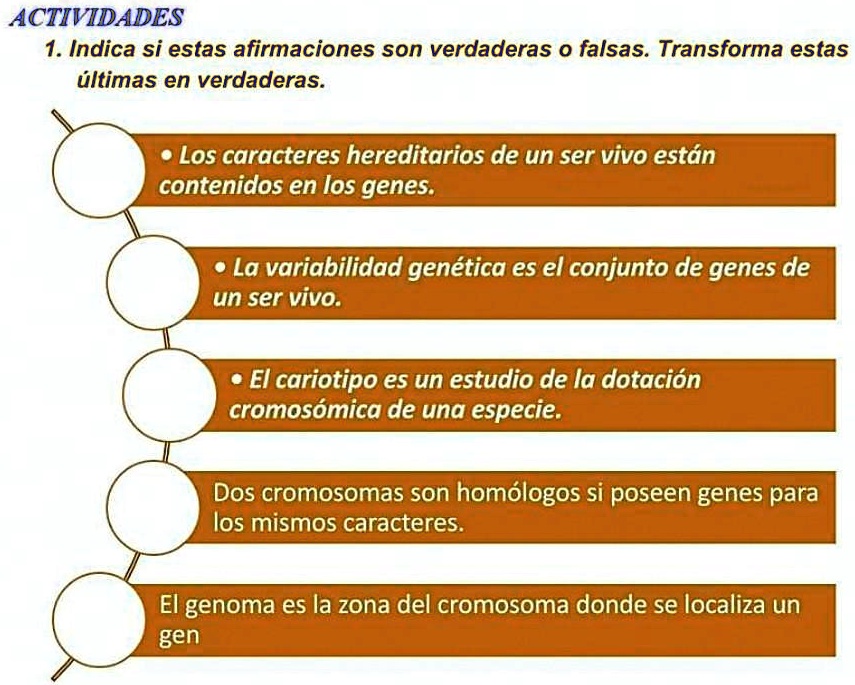 indica si estas afirmaciones son verdaderas o falsas transforma estas
