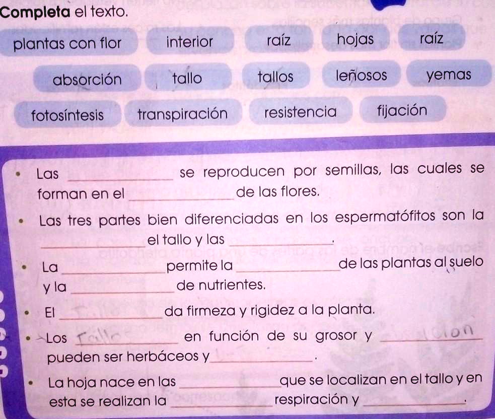 SOLVED ayuda porfa... ️... Completa el texto. plantas con flor interior raíz hojas raíz SOLVED ayuda porfa... ️... Completa el texto. plantas con flor interior raíz hojas raíz