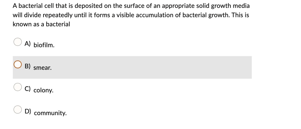 SOLVED: A bacterial cell that is deposited on the surface of an ...