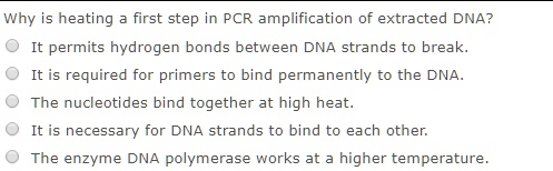 Why is heating a first step in PCR amplification of extracted DNA?
It permits hydrogen bonds between DNA strands to break.
It is required for primers to bind permanently to the DNA.
The nucleotides bind together at high heat.
It is necessary for DNA strands to bind to each other.
The enzyme DNA polymerase works at a higher temperature.