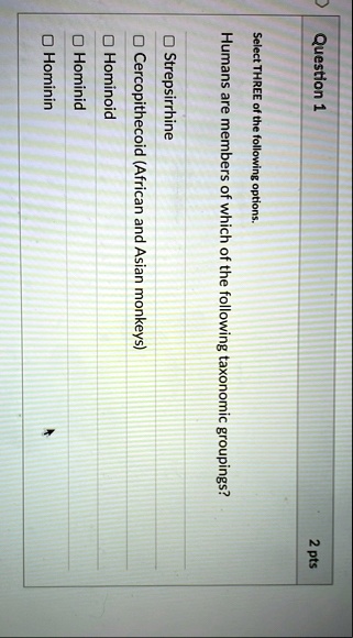 question 1 2 pts select three of the following options humans are members of which of the following taxonomic groupings strepsirrhine cercopithecoid african and asian monkeys hominoid homini 20376