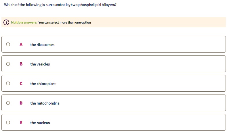 Solved:which Of The Following Is Surrounded By Two Phospholipid Bilayers?  Multiple Answers: You Can Select More Than One Option The Ribosomes The  Vesicles The Chloroplast The Mitochondria The Nucleus Solved:which Of The Following Is Surrounded By Two Phospholipid Bilayers?  Multiple Answers: You Can Select More Than One Option The Ribosomes The  Vesicles The Chloroplast The Mitochondria The Nucleus