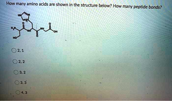 SOLVED: How many amino acids are shown in the structure below? How many ...