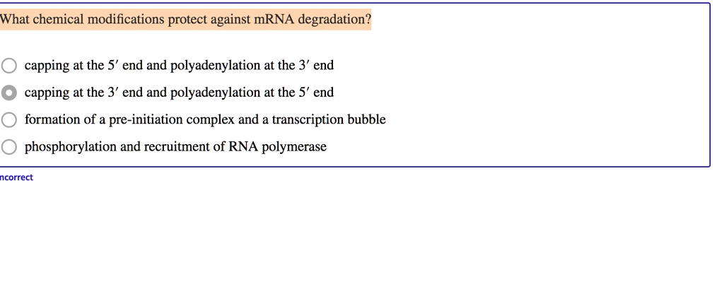 SOLVED: What chemical modifications protect against mRNA degradation ...