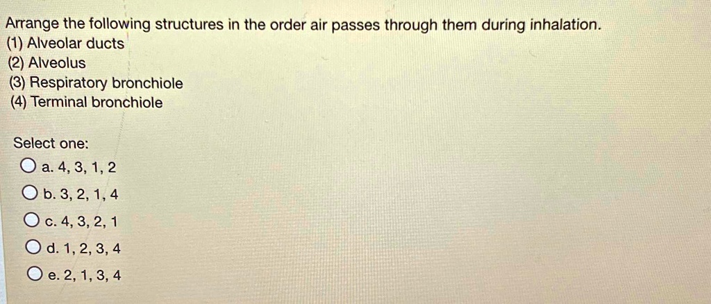 Arrange the following structures in the order air passes through them ...