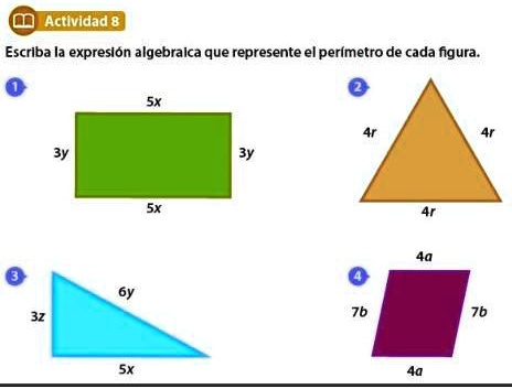 SOLVED: escribe la expresión algebraica que representa el perímetro de ...