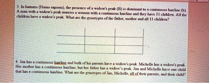 5. In humans (Homo sapiens), the presence of a widow's peak (B) is dominant to a continuous hairline (b). A man with a widow's peak marries a woman with a continuous hairline and they have 11 children. All the children have a widow's peak. What are the genotypes of the father, mother and all 11 children?

6. Jim has a continuous hairline and both of his parents have a widow's peak. Michelle has a widow's peak. Her mother has a continuous hairline, but her father has a widow's peak. Jim and Michelle have one child that has a continuous hairline. What are the genotypes of Jim, Michelle, all of their parents, and their child?