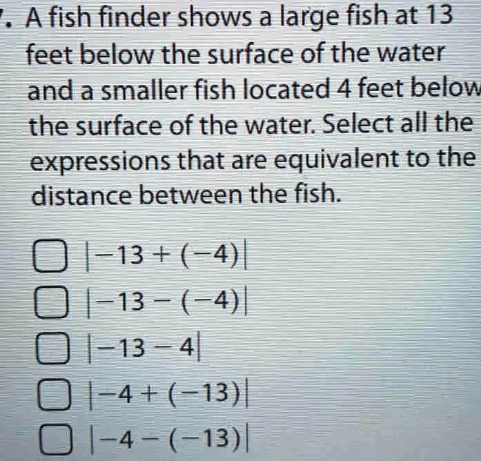 Math Expressions Fish a fish finder shows a large fish at 13 feet below the surface of the ...