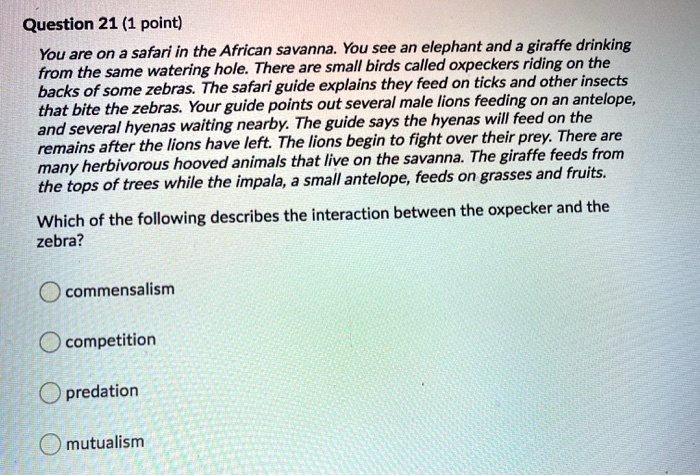 SOLVED: Question 21 (1 point) You are on a safari in the African