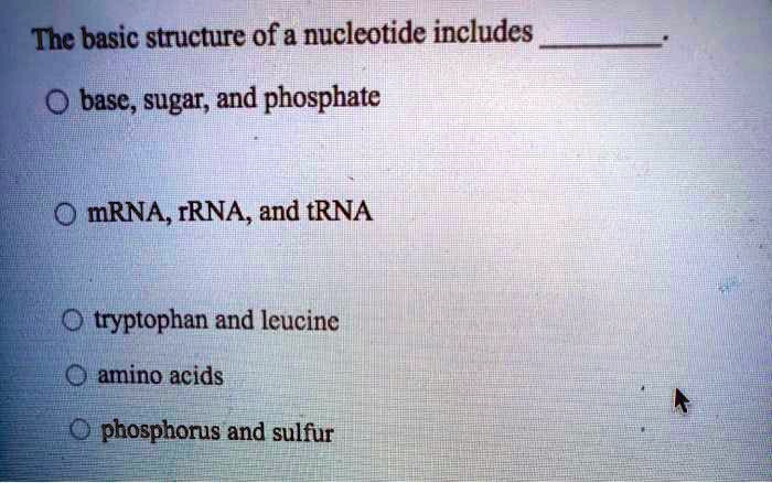 Solved The Basic Structure Of A Nucleotide Includes A Base Sugar And Phosphate Mrna Rrna 5136