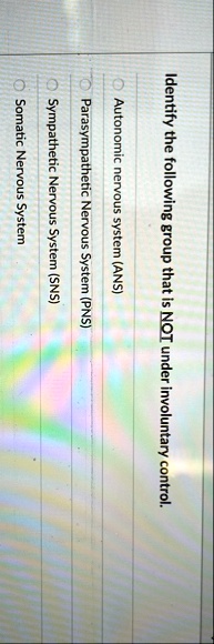 identify the following group that is not under involuntary control autonomic nervous system ans parasympathetic nervous system pns sympathetic nervous system sns somatic nervous system 19645